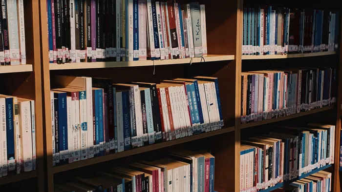 Estantes de una biblioteca llenos de libros, iluminados por luz natural